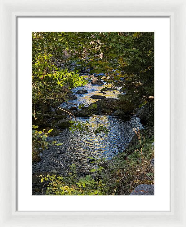 Creek - Framed Print