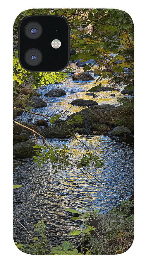 Creek - Phone Case