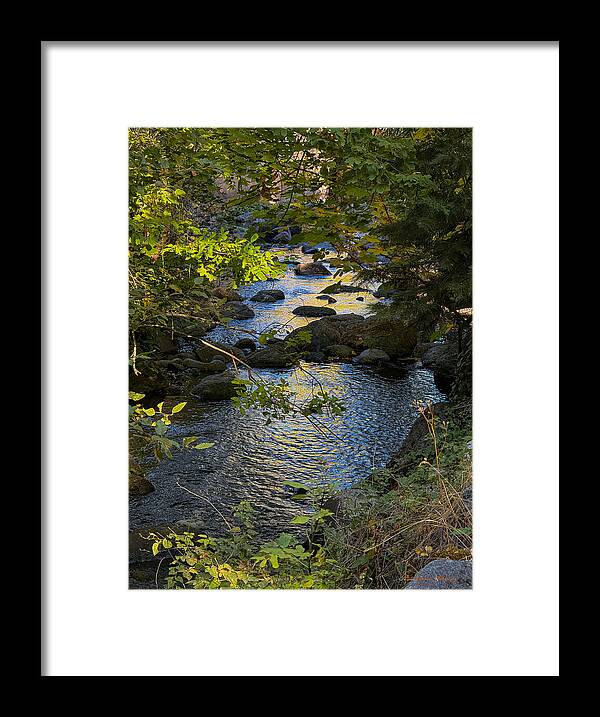 Creek - Framed Print