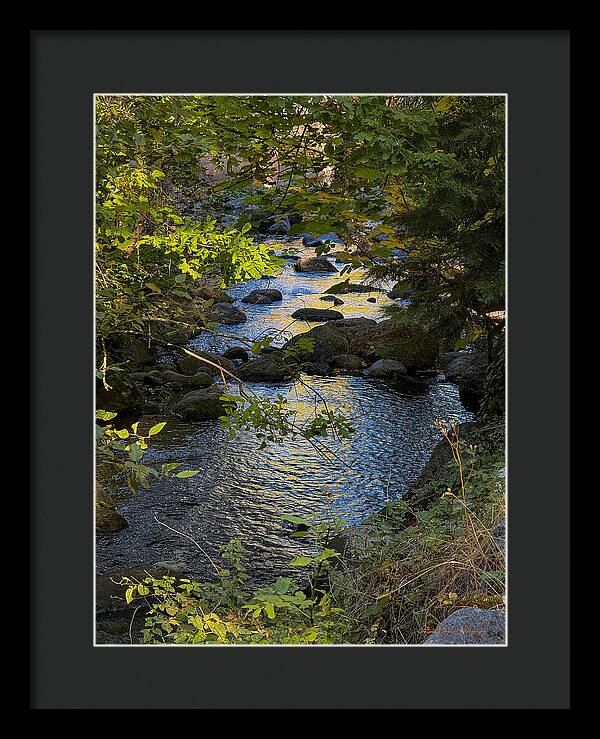 Creek - Framed Print