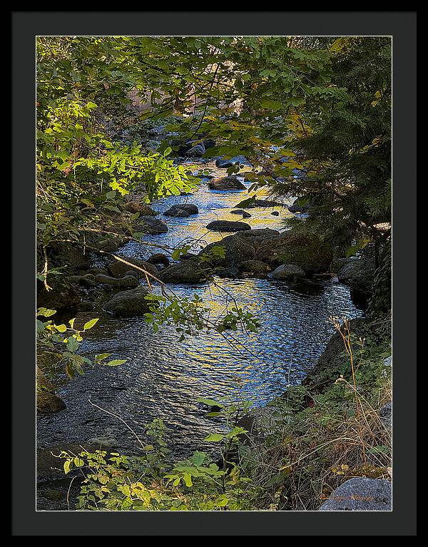 Creek - Framed Print