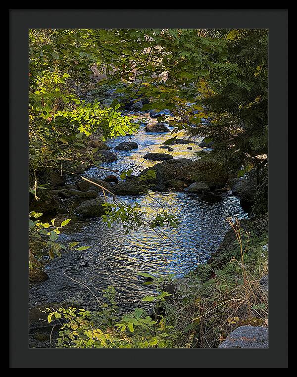Creek - Framed Print