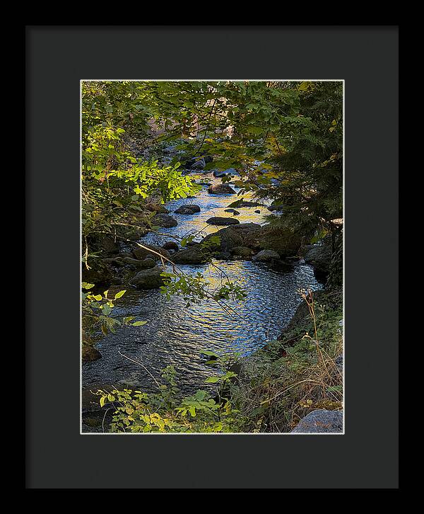 Creek - Framed Print