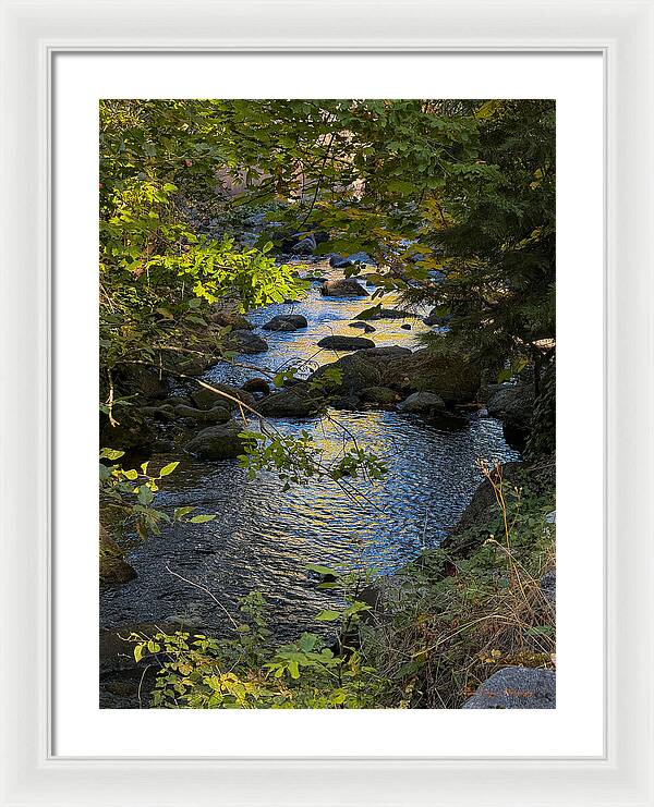 Creek - Framed Print