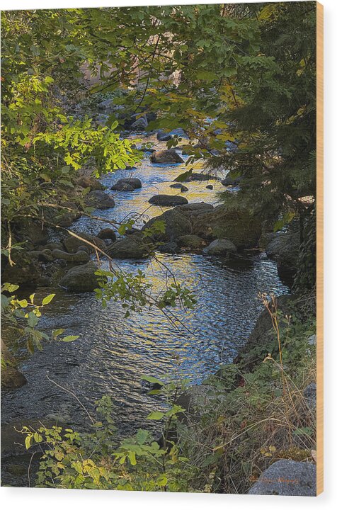 Creek - Wood Print