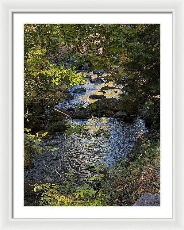 Creek - Framed Print