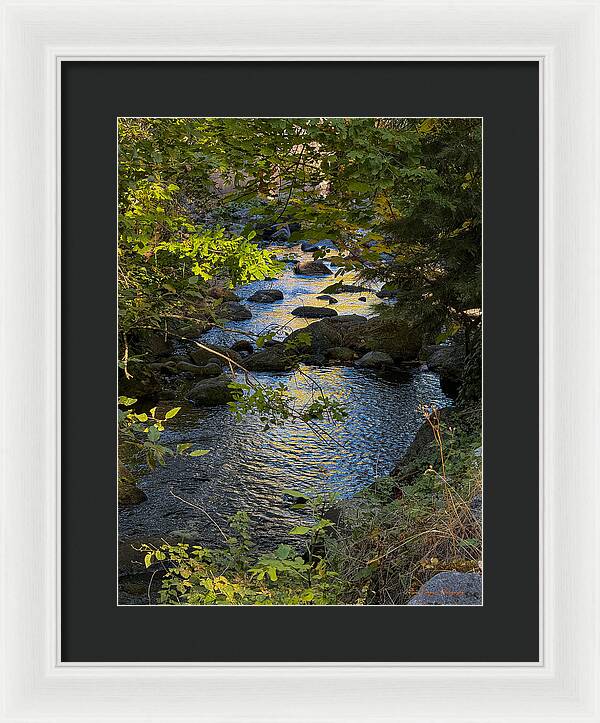 Creek - Framed Print