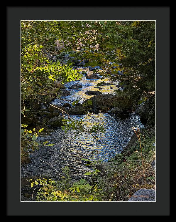 Creek - Framed Print