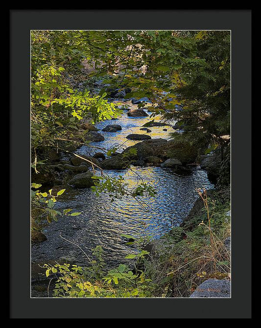 Creek - Framed Print