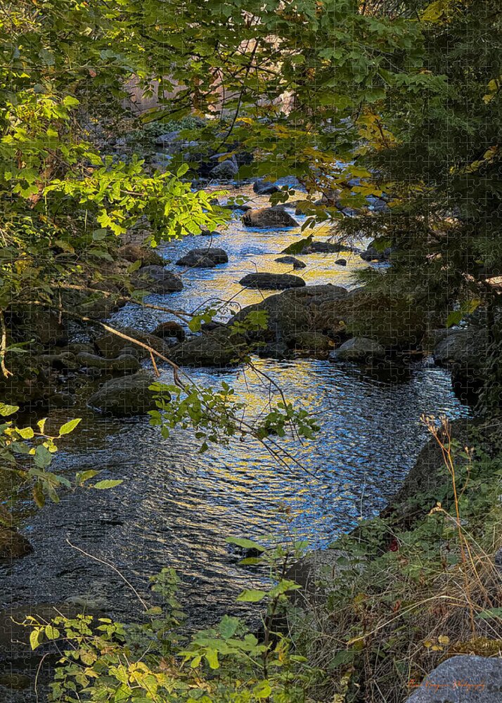 Creek - Puzzle
