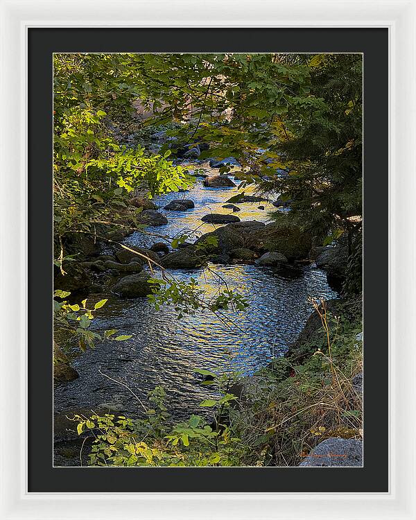 Creek - Framed Print