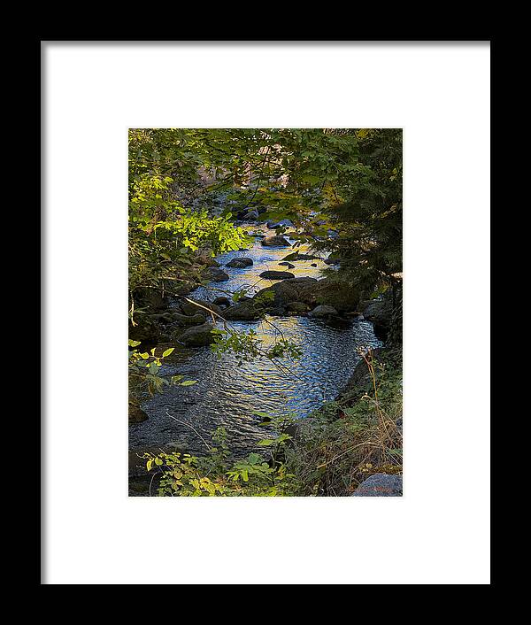 Creek - Framed Print