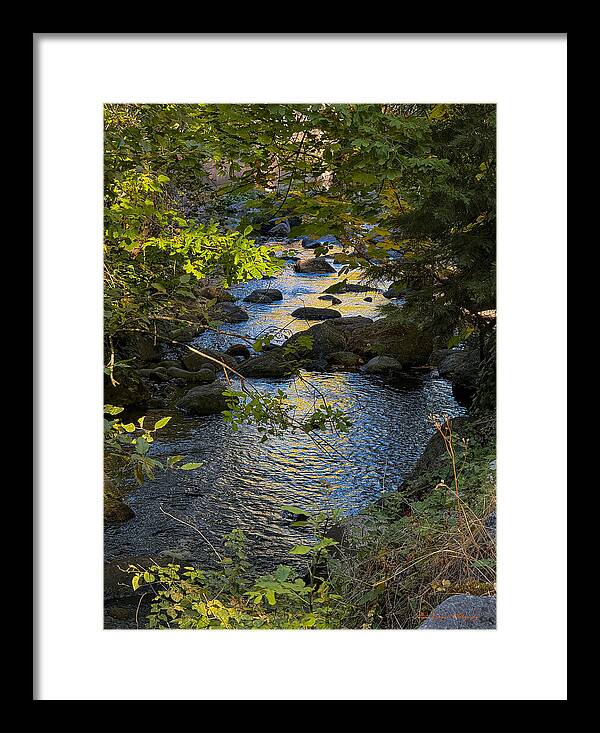 Creek - Framed Print
