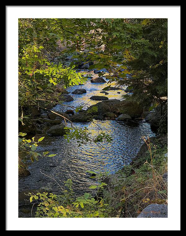 Creek - Framed Print