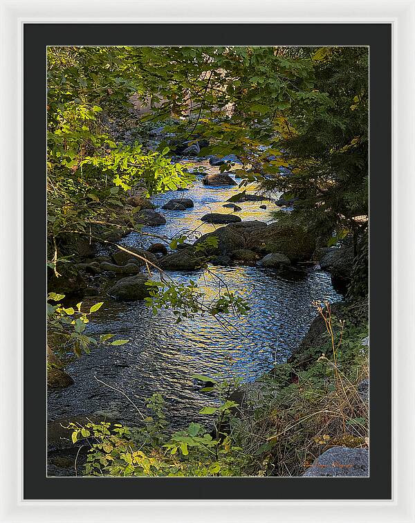 Creek - Framed Print