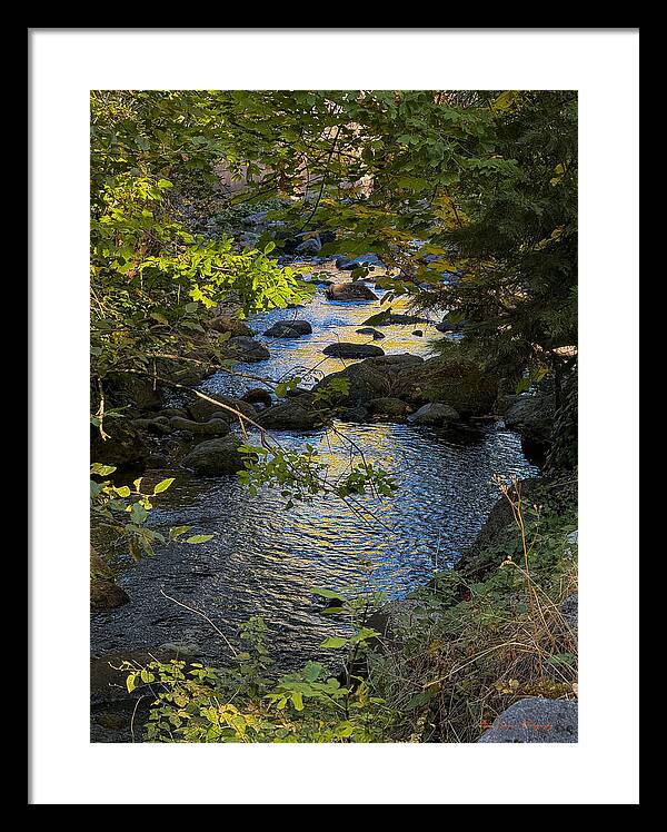 Creek - Framed Print