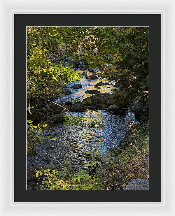 Creek - Framed Print