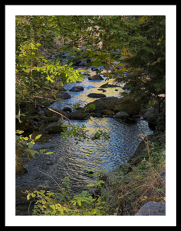 Creek - Framed Print