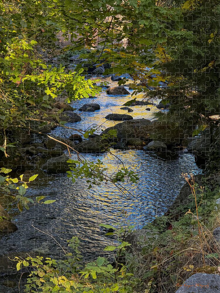 Creek - Puzzle