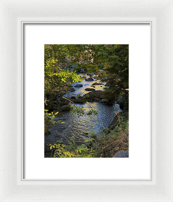 Creek - Framed Print