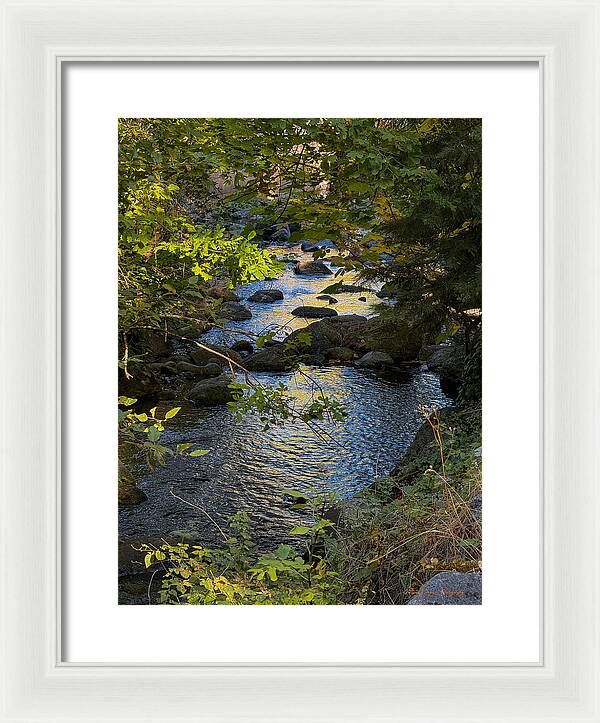 Creek - Framed Print