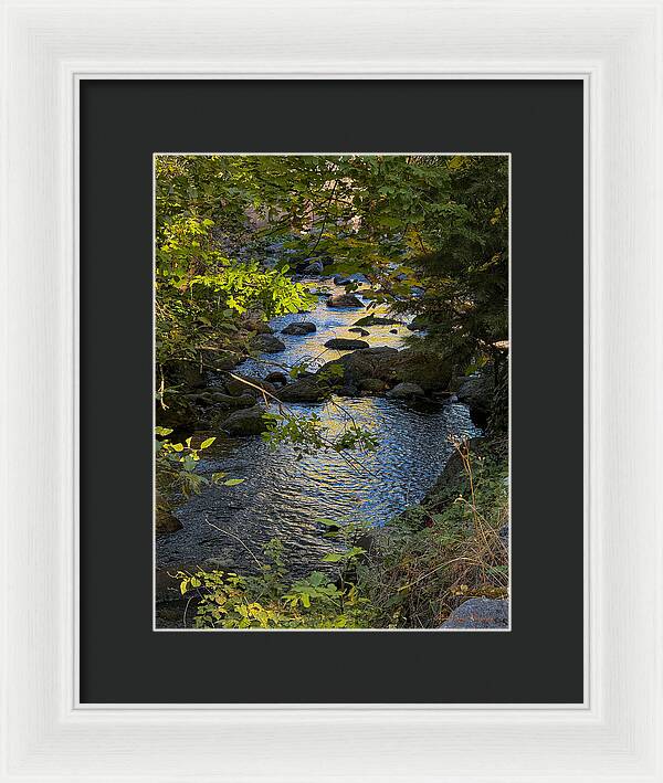 Creek - Framed Print
