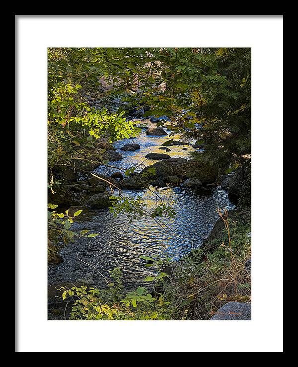 Creek - Framed Print
