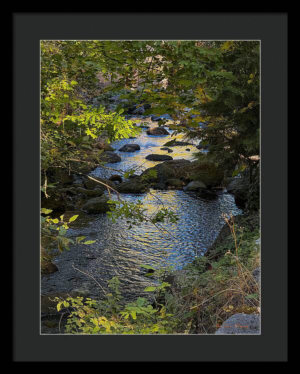 Creek - Framed Print