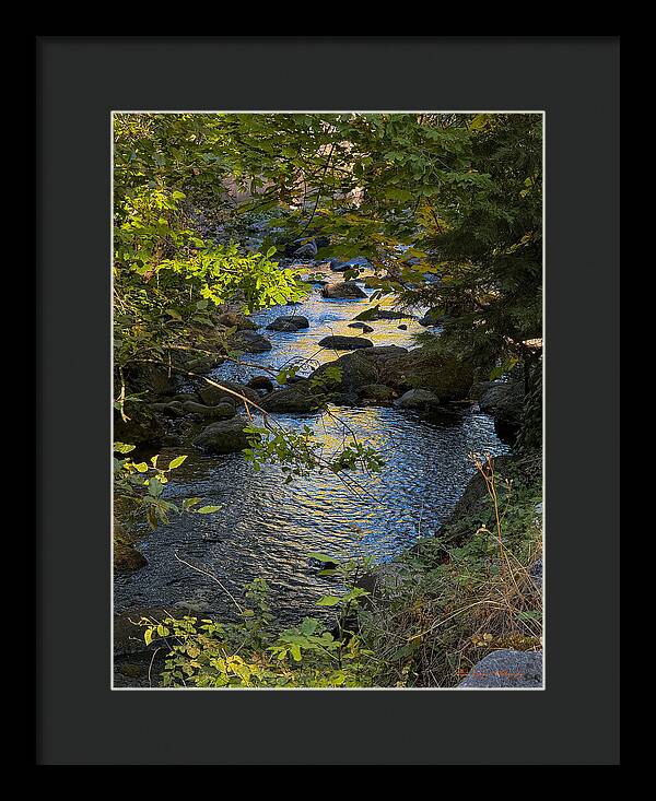 Creek - Framed Print