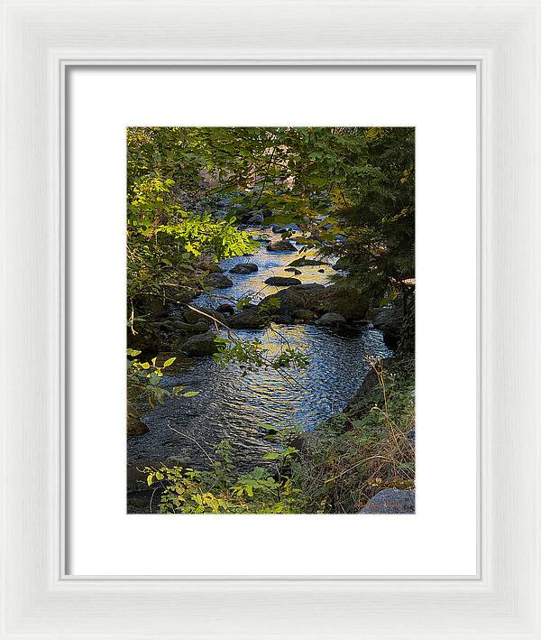 Creek - Framed Print