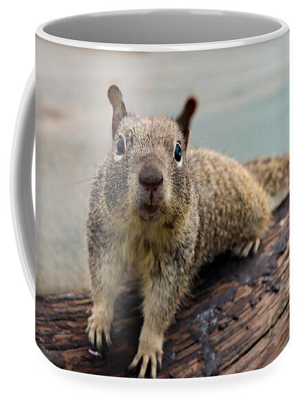 Curious Squirrel on a Log - Mug
