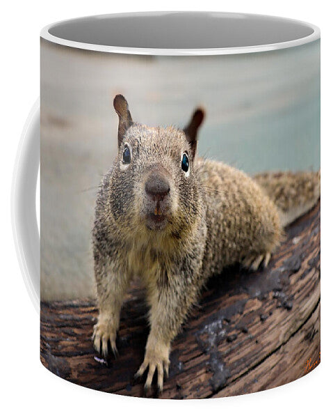 Curious Squirrel on a Log - Mug