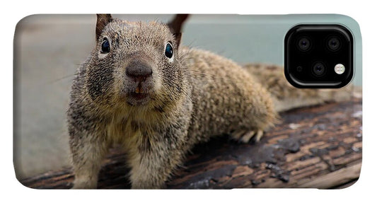 Curious Squirrel on a Log - Phone Case