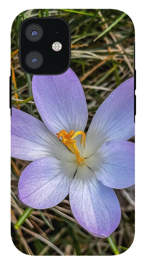 Daisy - Phone Case