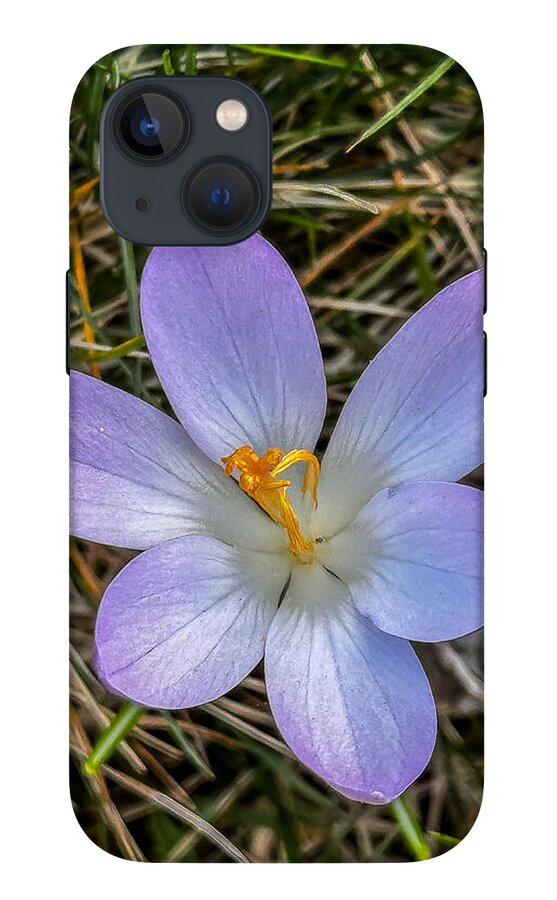 Daisy - Phone Case