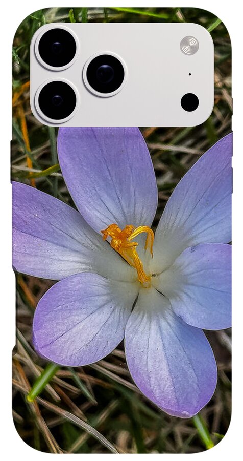 Daisy - Phone Case