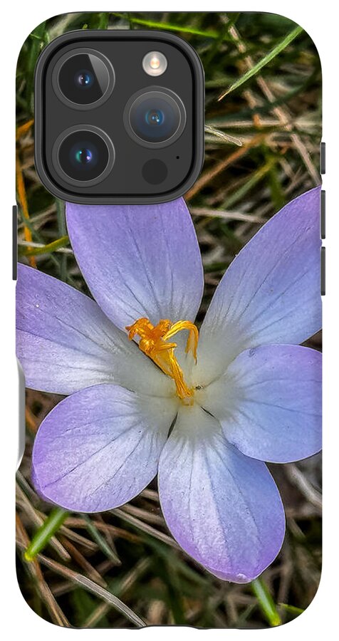 Daisy - Phone Case