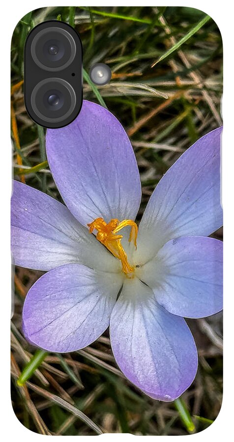 Daisy - Phone Case