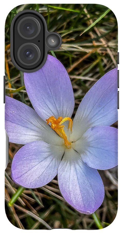Daisy - Phone Case