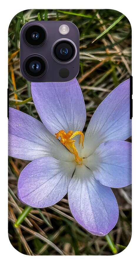 Daisy - Phone Case