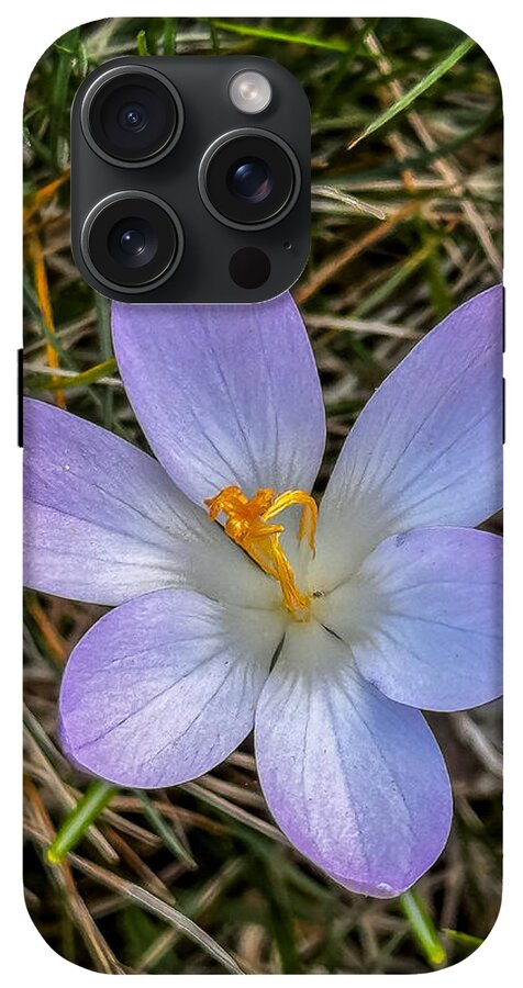 Daisy - Phone Case