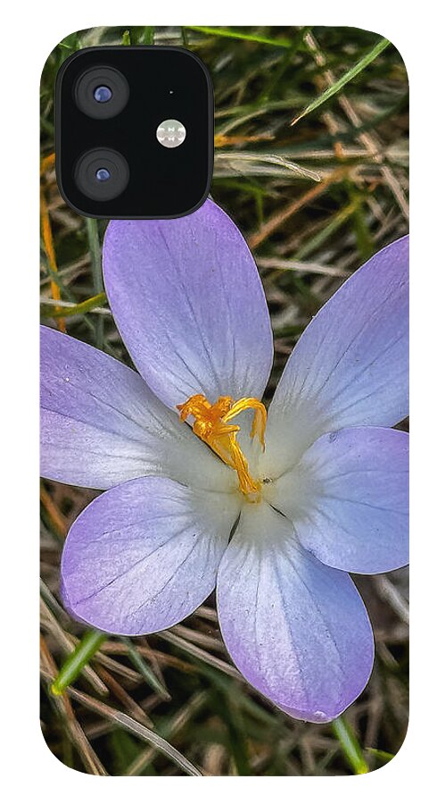 Daisy - Phone Case