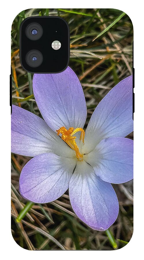 Daisy - Phone Case