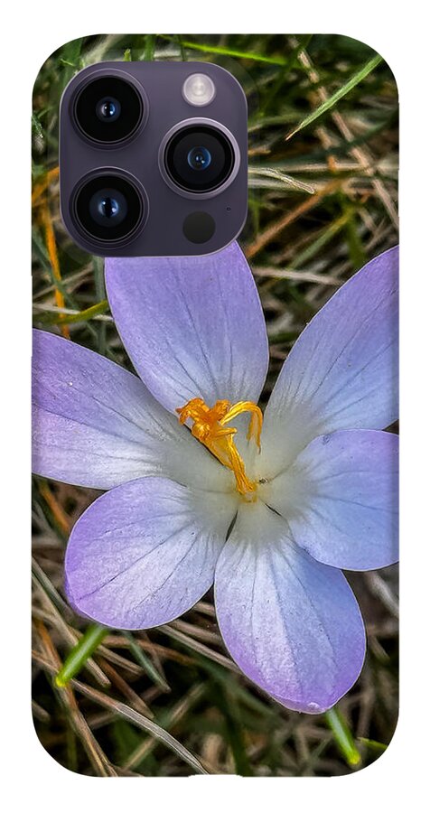 Daisy - Phone Case