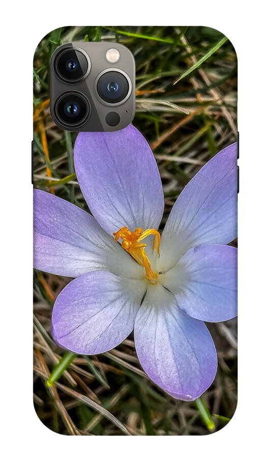 Daisy - Phone Case