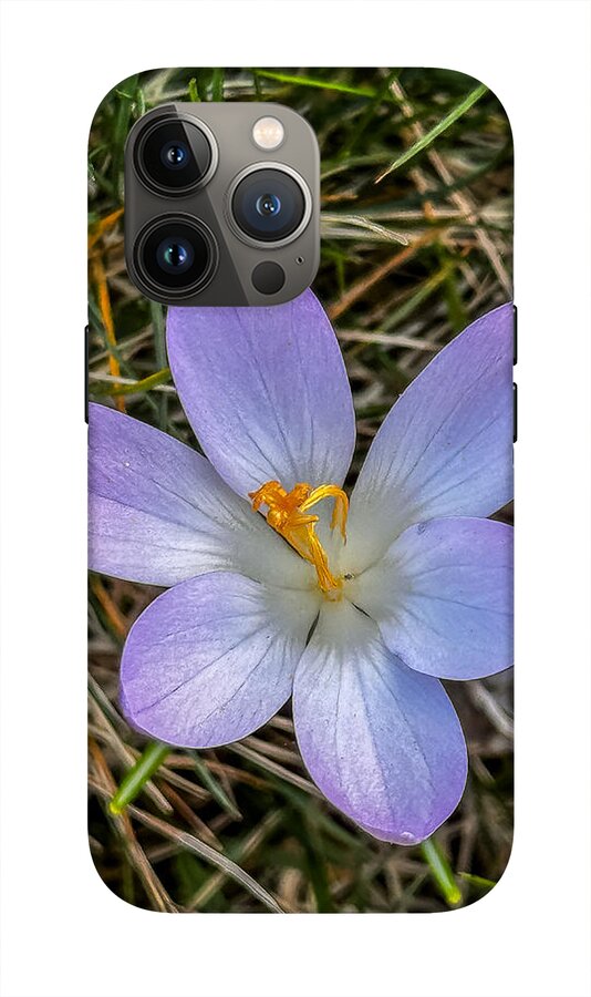 Daisy - Phone Case