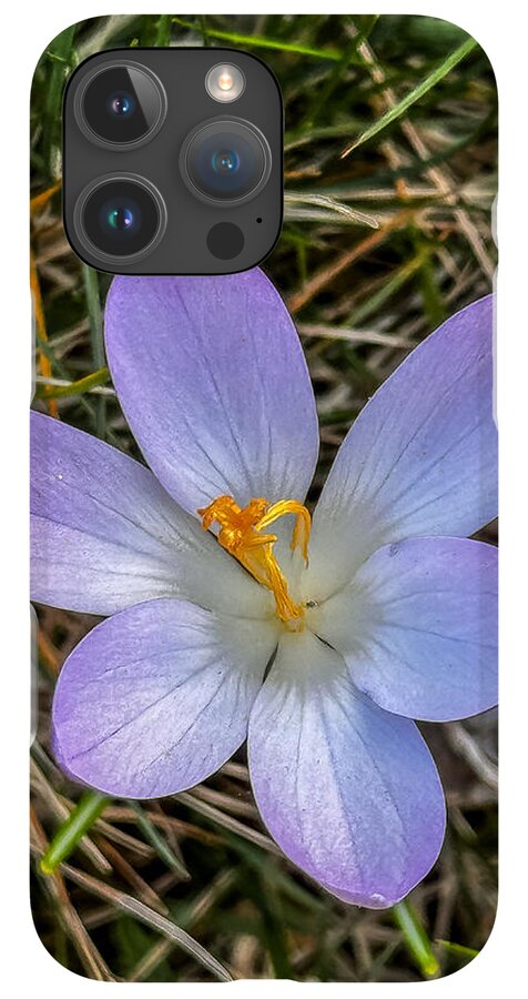 Daisy - Phone Case