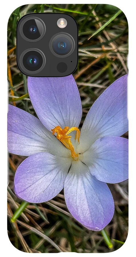 Daisy - Phone Case