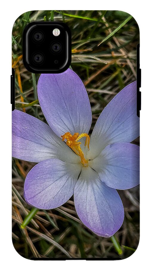 Daisy - Phone Case