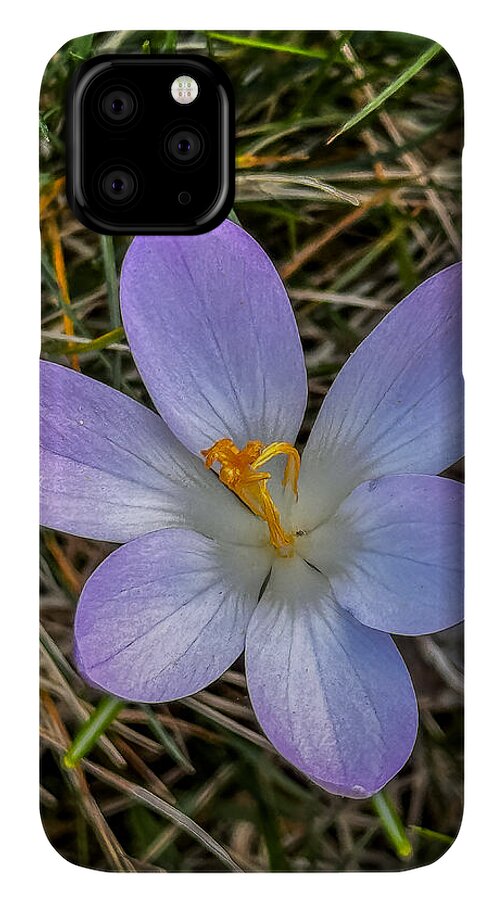 Daisy - Phone Case